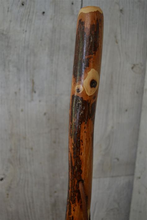 Condition: New. . Hickory walking stick blanks